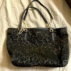 Black leopard Coach bag